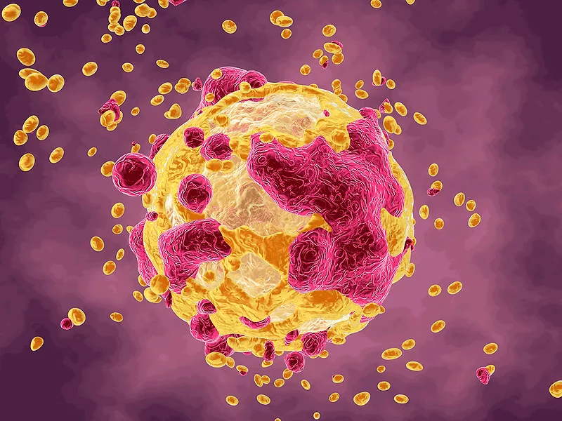 Cancer cell Cancer cell