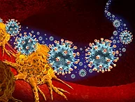 Art concept for oncolytic virus