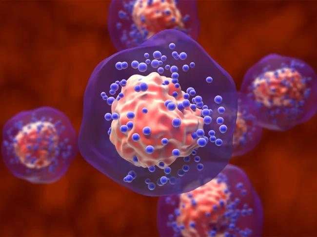 Illustration of triple-negative breast cancer cells