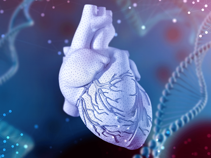 Rs2019090 polymorphism tied to coronary artery disease risk | BioWorld