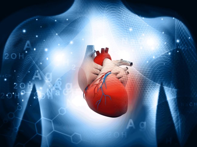 Heart scientific overlay