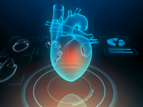 Digital heart illustration