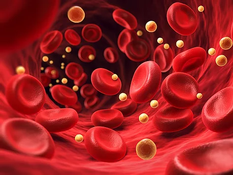 Red blood cells in an artery with cholesterol