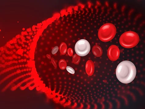 Illustration of red and white blood cells in an artery