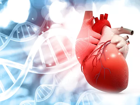 Illustration of human heart with DNA structure background