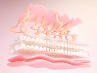 3D rendering of skin cells and elastin with collagen layer