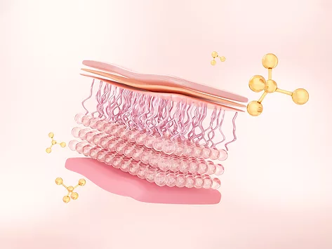 Dermatologic skin layer molecules drug