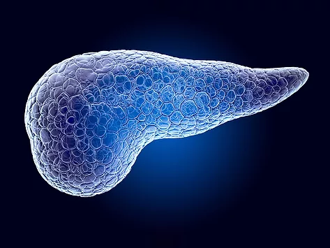 Pancreas 3D hologram