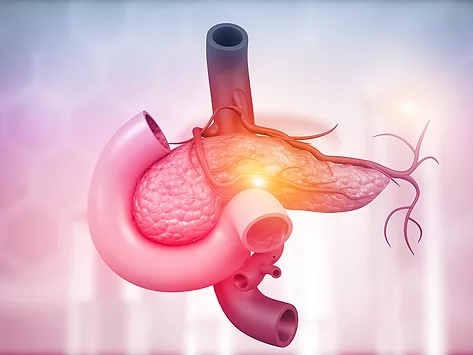 Pancreas1