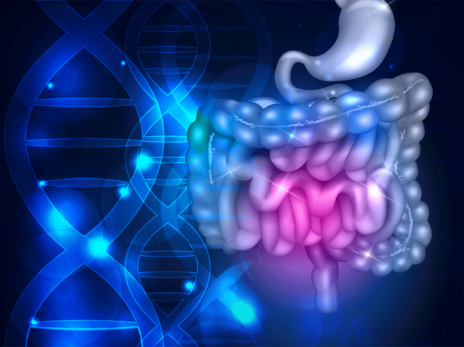 Illustration of DNA, digestive system