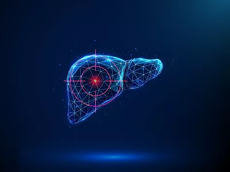 Illustration of liver being targets with cross-hairs
