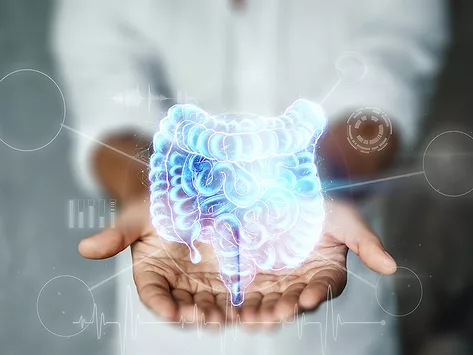 Holographic intestine