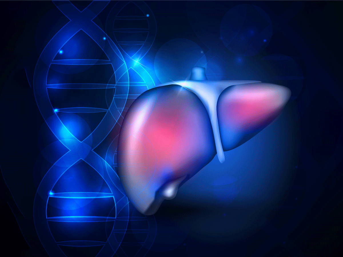 Liver and DNA