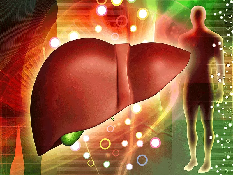 does berberine mimic glp 1 Why Berberine Is Not 'Nature's Ozempic'