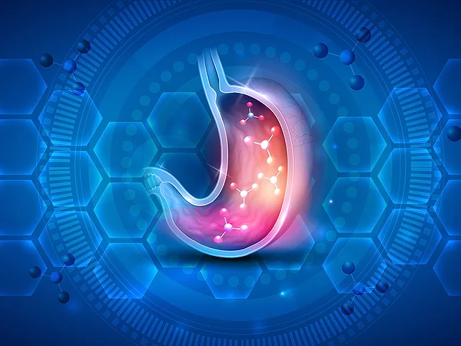Stomach cross section on abstract scientific background