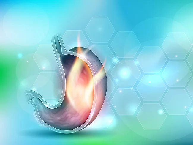 Stomach cross-section on scientific background