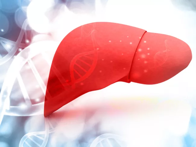 Illustration of liver with DNA double helixes