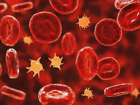Platelets and red blood cells