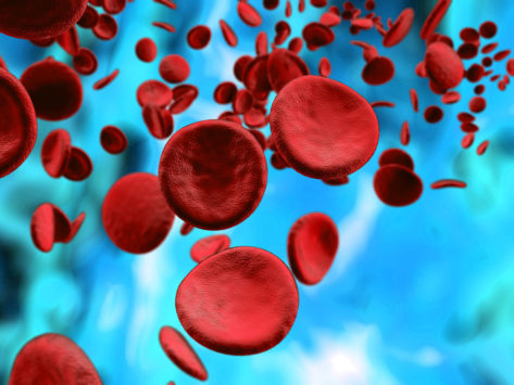 Red blood cells on blue background