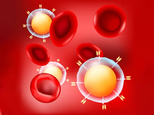 CAR T and red blood cells