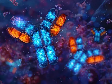 3D illustration of antibodies