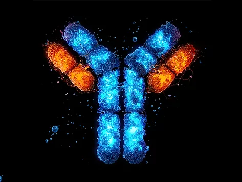 Antibody detail blue orange