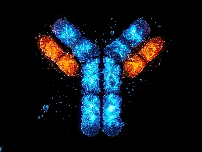 3D illustration antibody