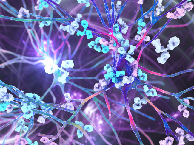 Illustration of antibodies attacking neurons