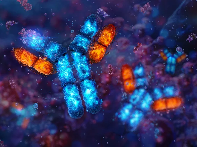 3D illustration of antibodies