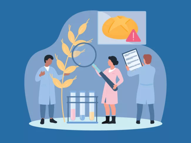 Illustration of scientists studying wheat