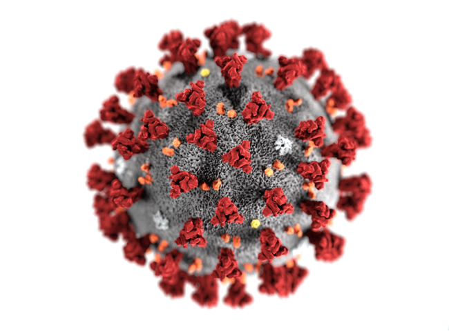 Coronavirus microscopic model