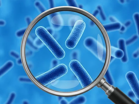 Bacteria magnifying glass research