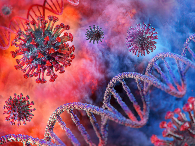 Coronavirus and DNA