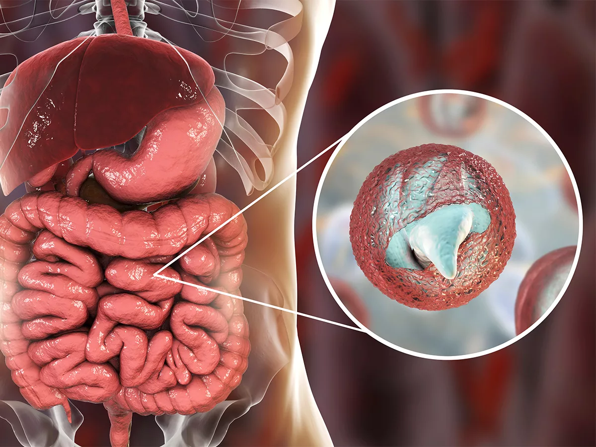 BKI-1708 is a potential treatment for cryptosporidiosis | BioWorld