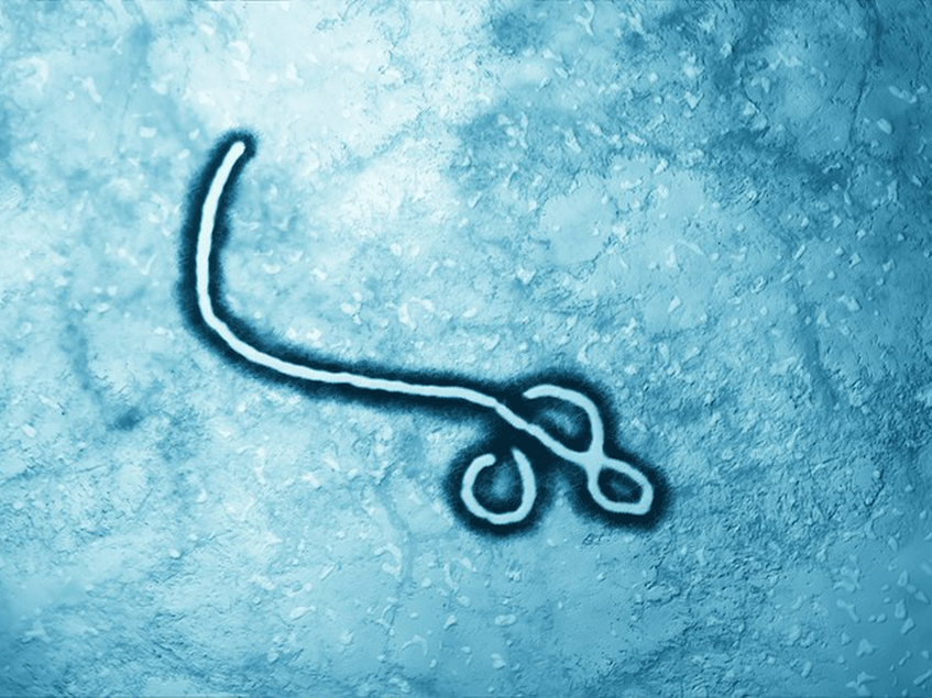 Island Pharma targets Ebola species lacking approved treatments