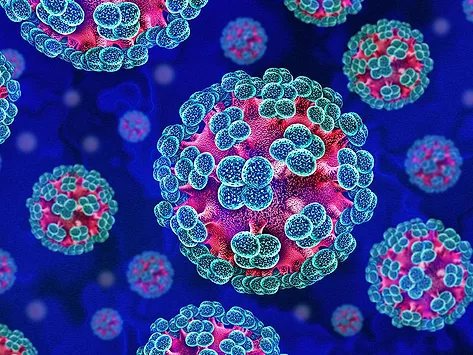 Hantavirus cells