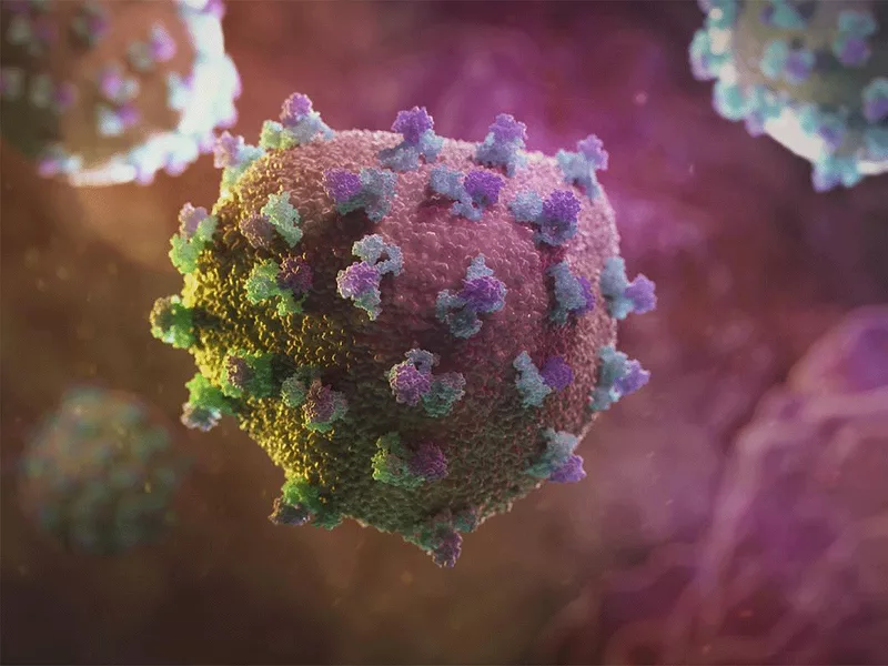 Hepatitis C virus Hepatitis C virus