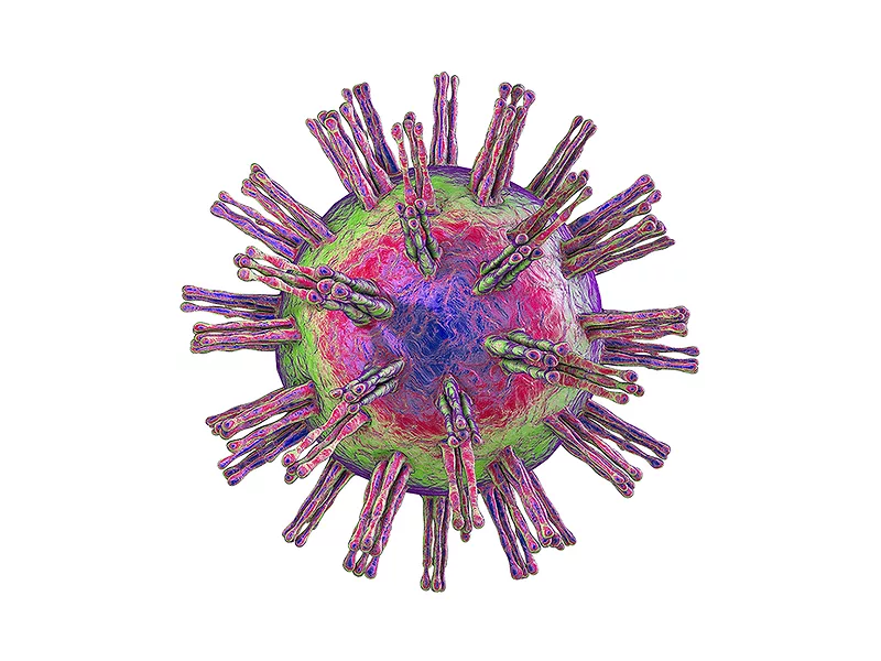 Herpes simplex virus