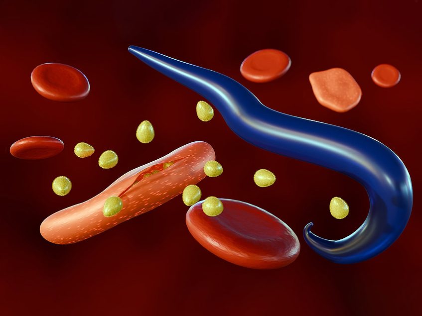 New indole-based hybrids emerge as resistance-resilient antimalarial leads