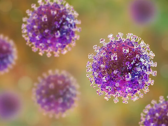 Illustration of Nipah virus