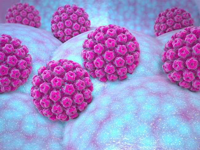 Illustration of human papillomavirus (HPV) infection