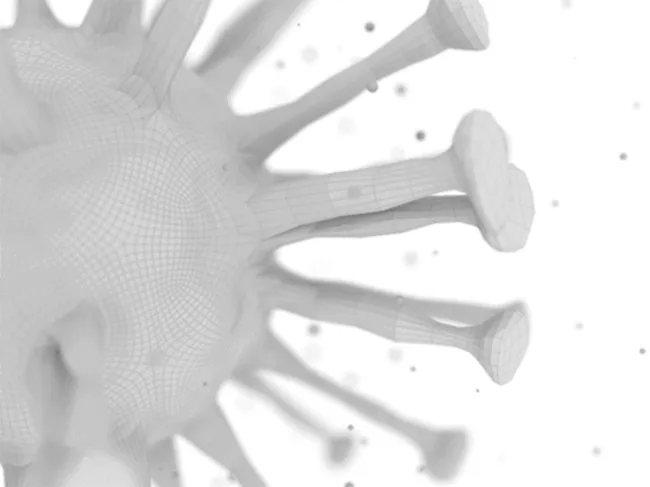 Coronavirus gray and white