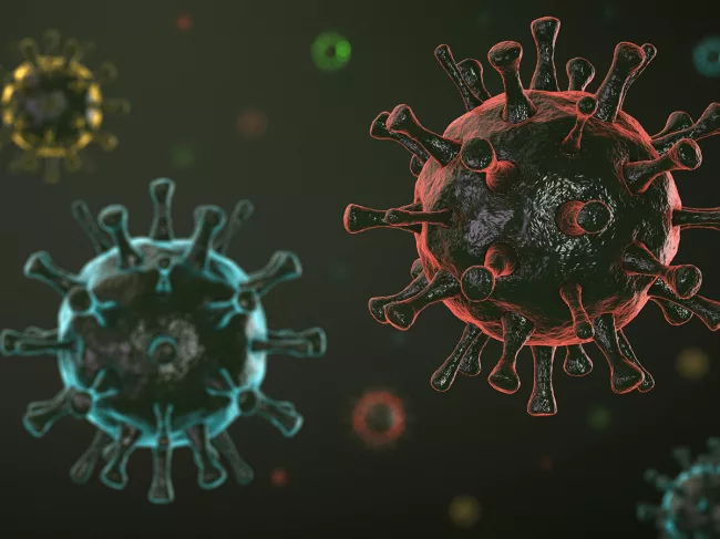 Coronavirus variants