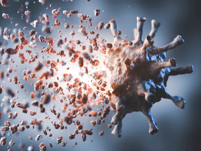 Disintegrating coronavirus