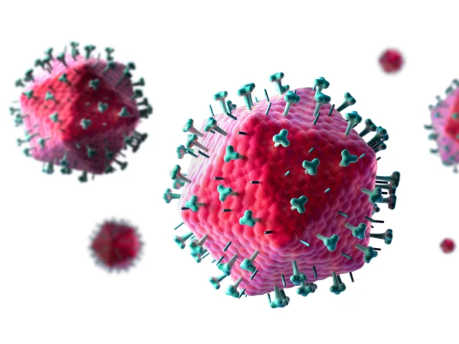 HIV virus