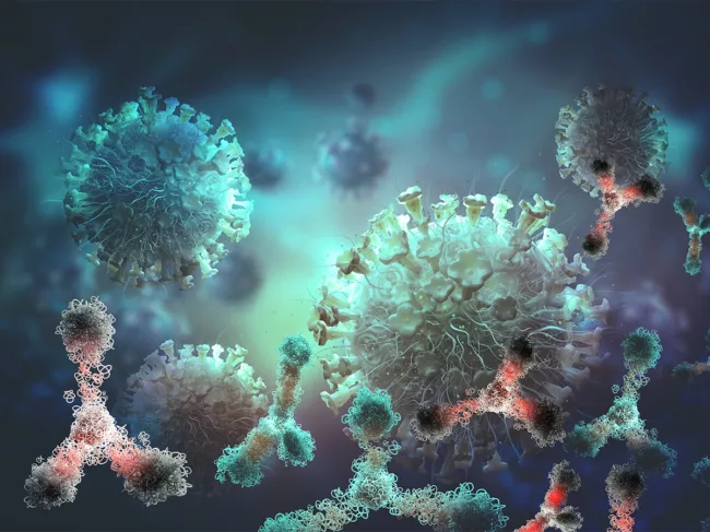 Illustration of antibodies and viral infection