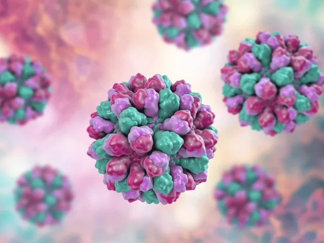 3D norovirus illustration