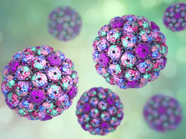 Polyomavirus