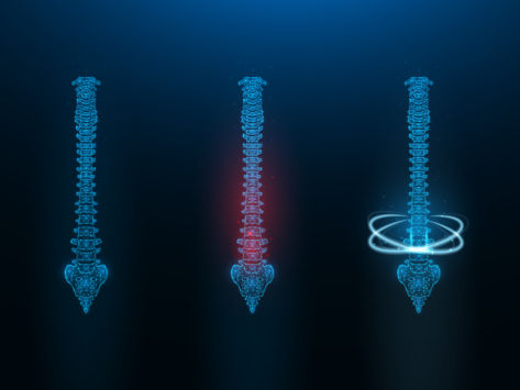 Digital spine concept art