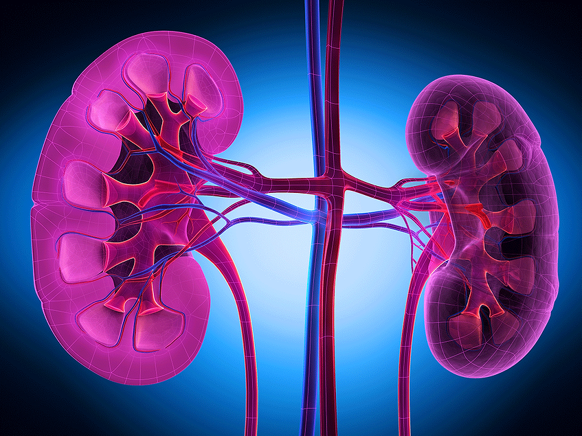 Vera’s Trutakna wins FDA nod as first dual inhibitor for IgAN